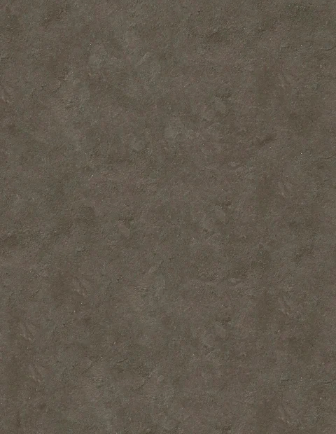 untitled design